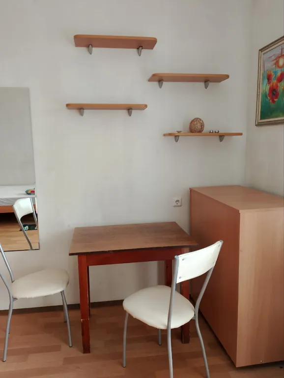 Просторная светлая квартира на Тополинке