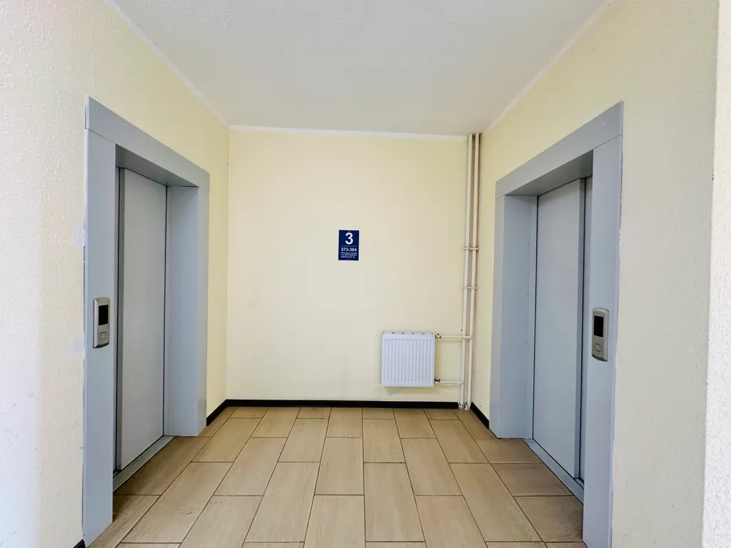 Пингвин в гараже