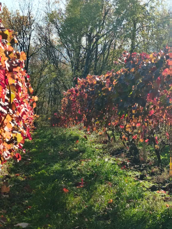 Коттедж Шале Айдаред - отдых в ритме природы — Северская