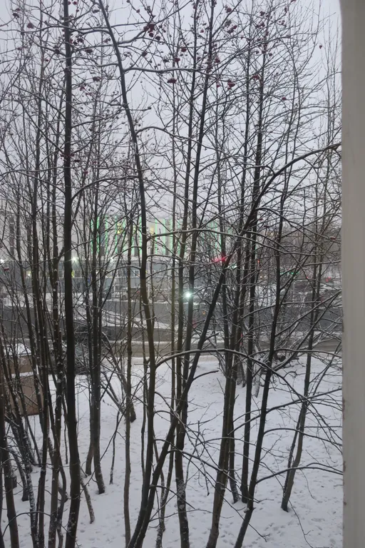 Самый Центр