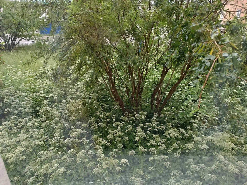 Уютная студия в центре города с хорошим ремонтом