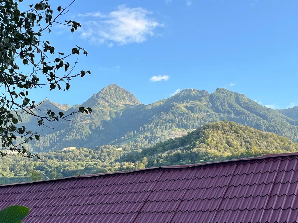 Дом-студия с купелью и домашним кинотеатром