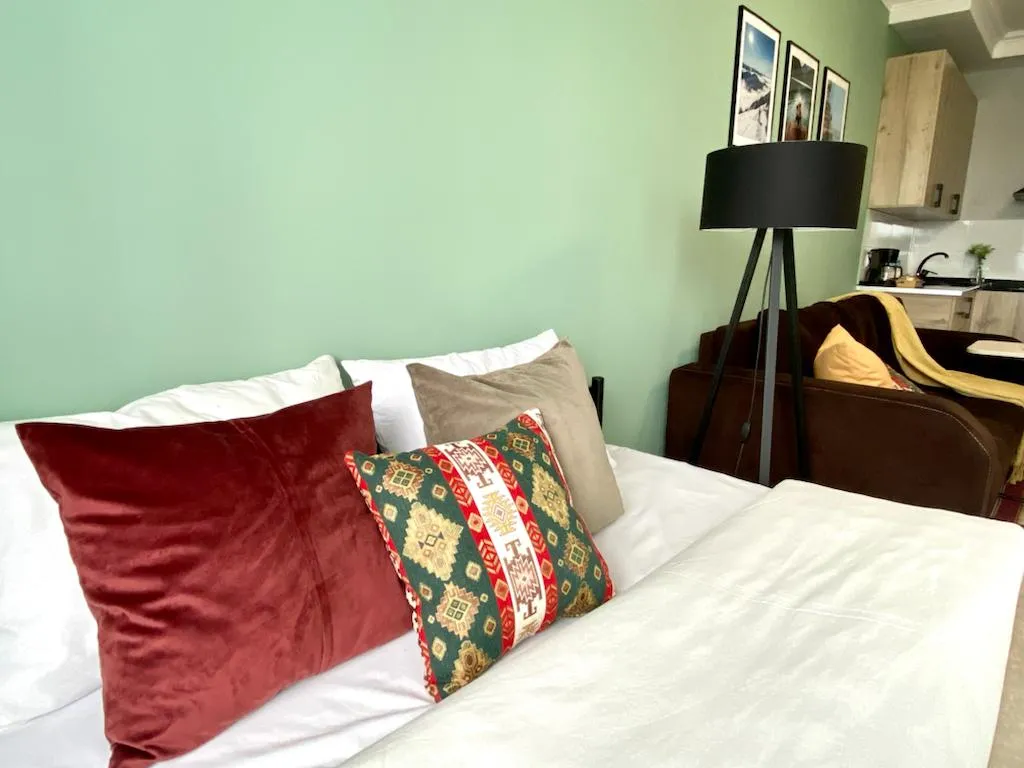 Студия Көктем с национальным колоритом и  видом на город