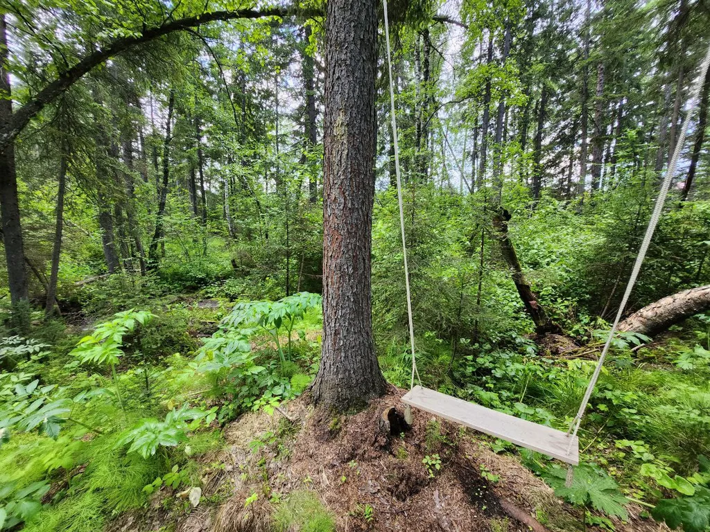 Дом с панорамным видом на лес
