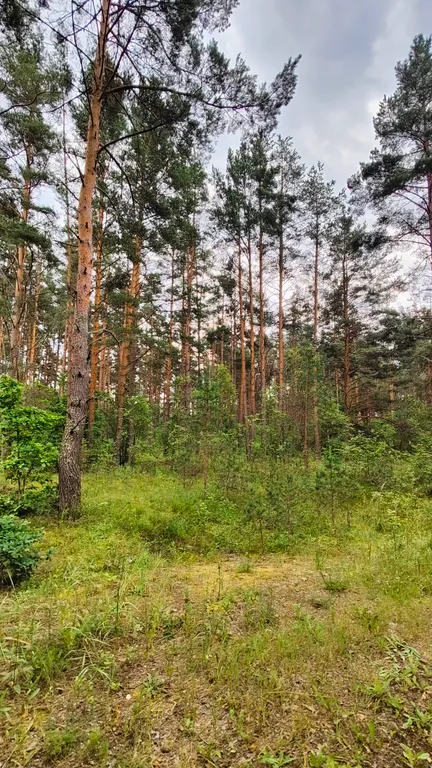 Гостевой дом между Лесом и Озером