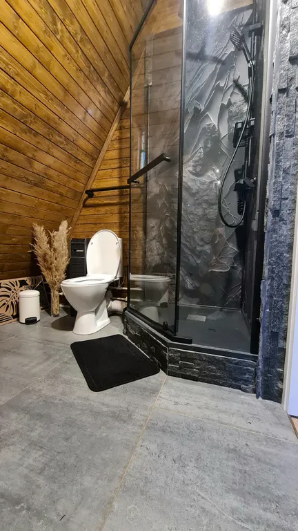 З-комнатный дом У Озера в лесу