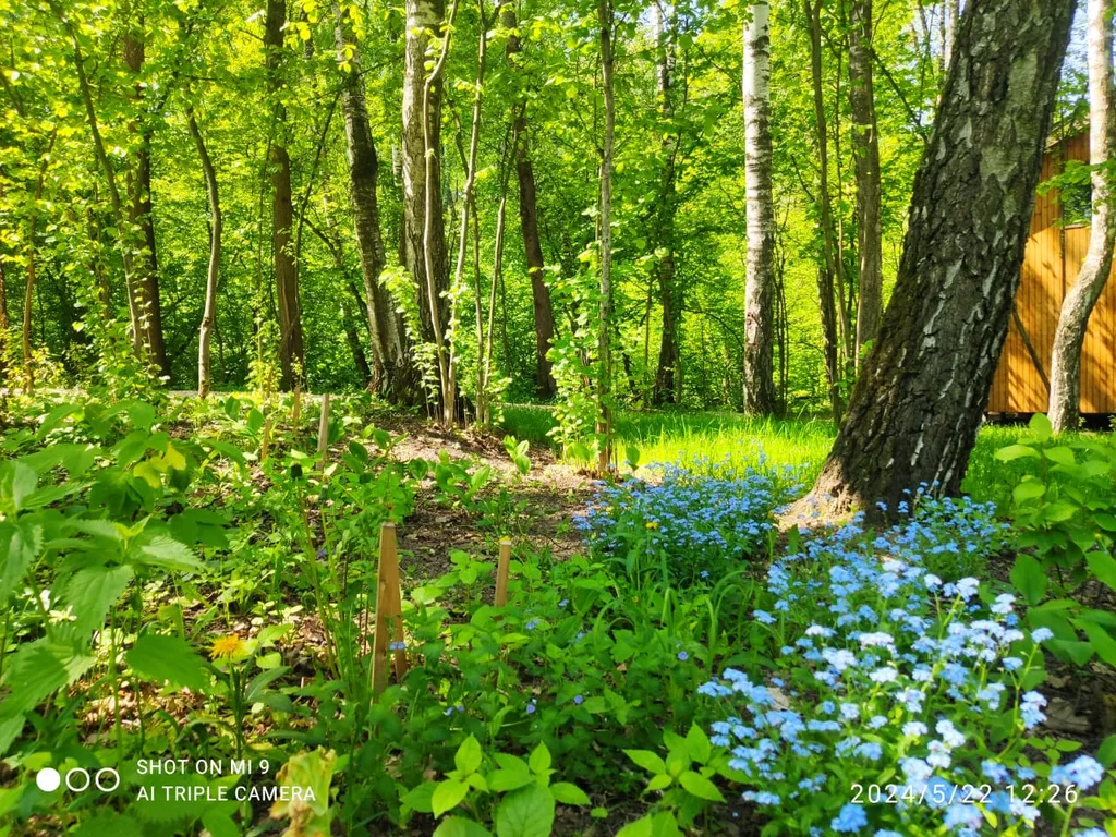 Новый стильный дом, большая лесная территория, недалеко от пруда с пляжем