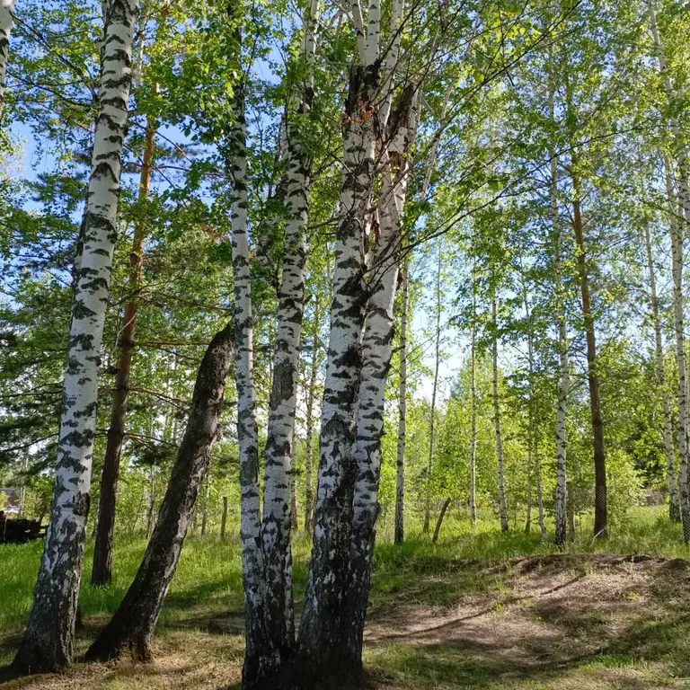 Просторный двухэтажный коттедж