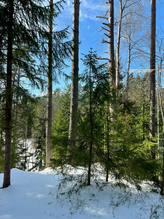 Дом Аура Леса на склоне с большой террасой и видом на лес и реку