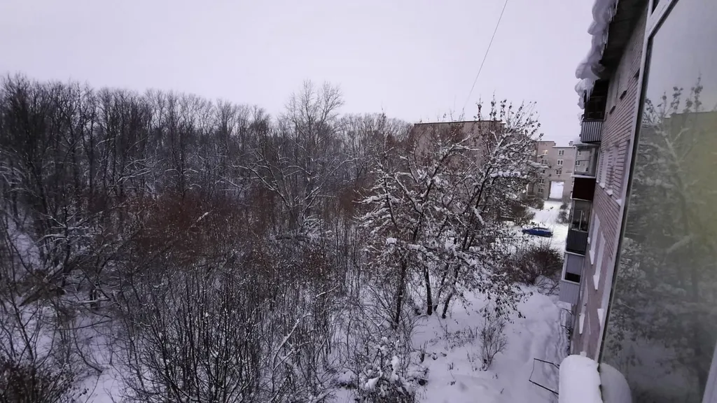 Квартира с новым ремонтом