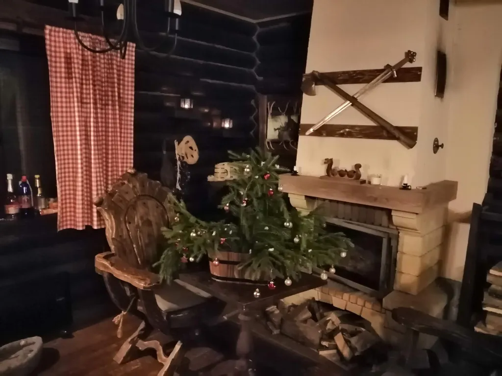 Дом Викинга