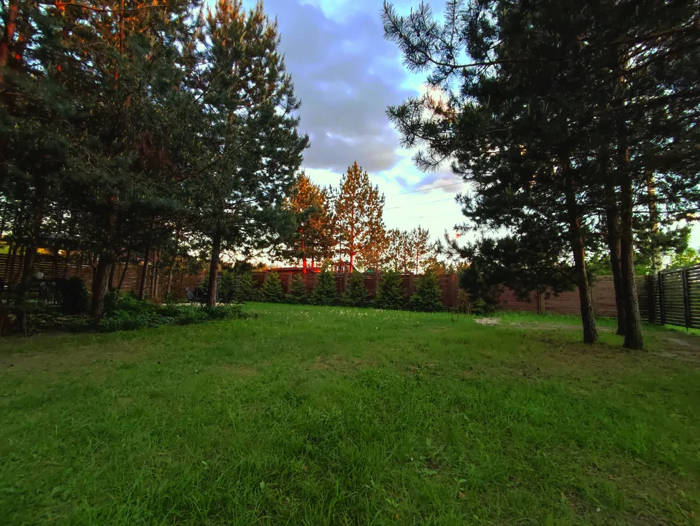 Домик в сосновом лесу