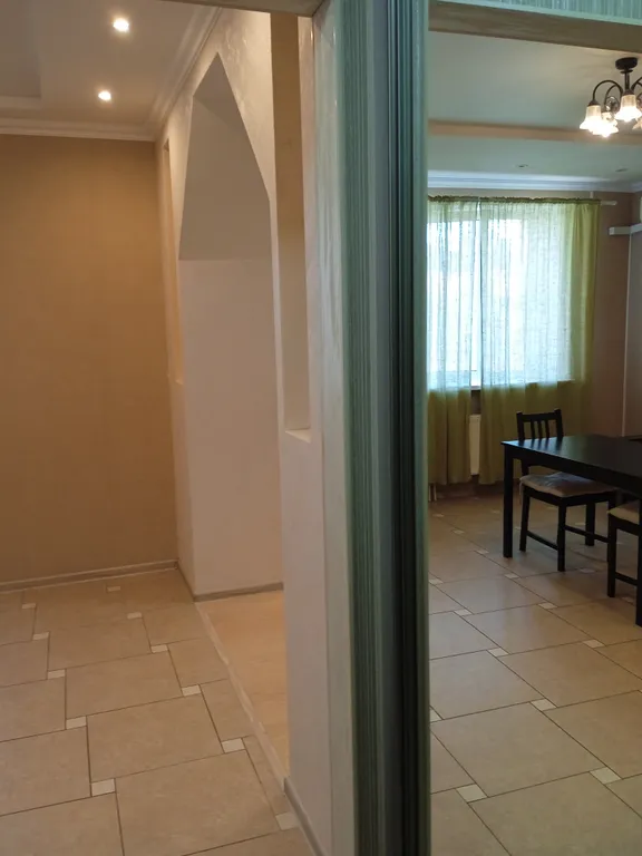 Евродвушка в центре около Волги