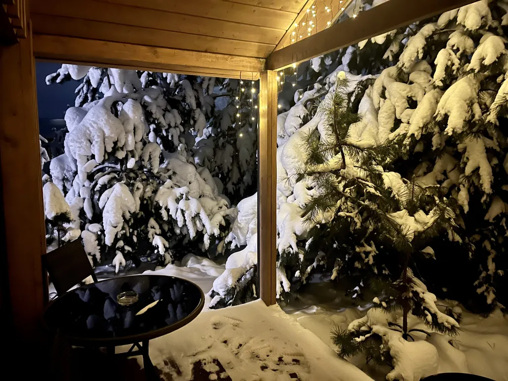 Уютный коттедж в лесу у пруда