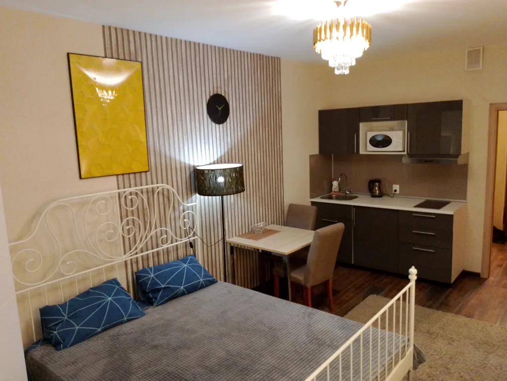 Шикарная Home студия у метро