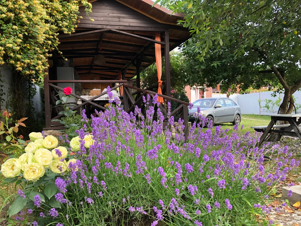 Уютный домик на море