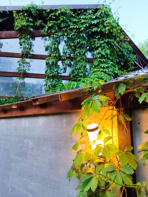 Вилла с гриль-верандой, сауной, купелью и джакузи