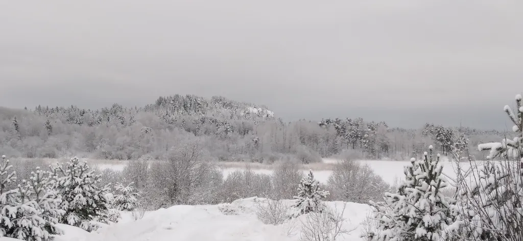 Небольшой дом на острове