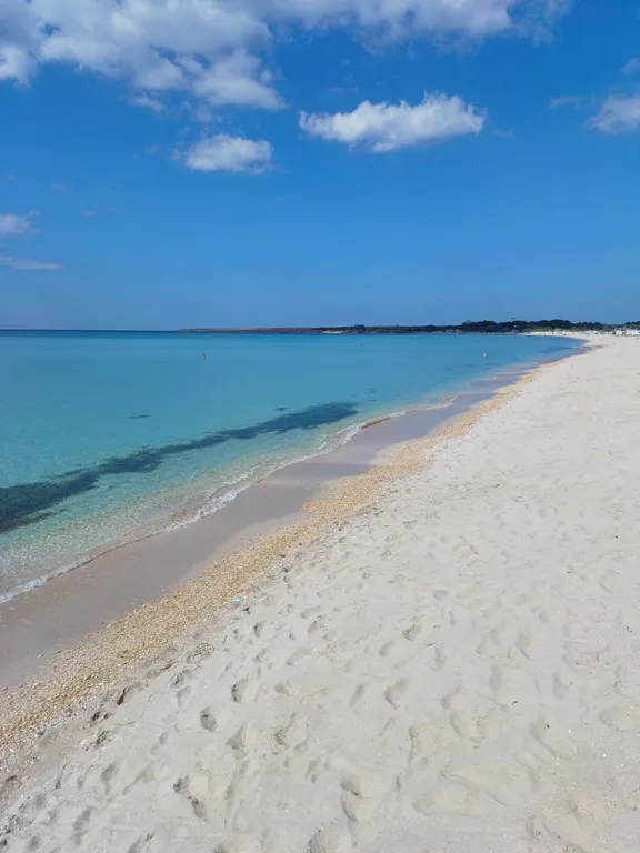 Апартаменты с одной спальней