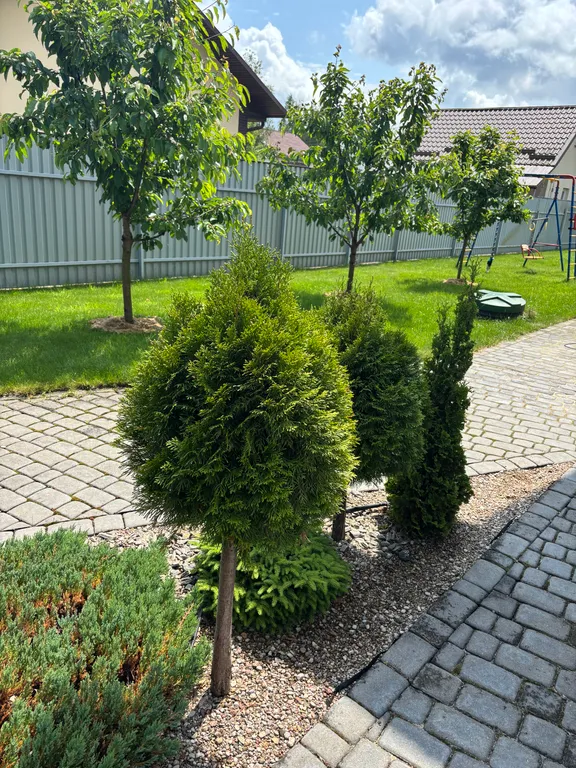 Уютный дом в лесном массиве возле красивых озер