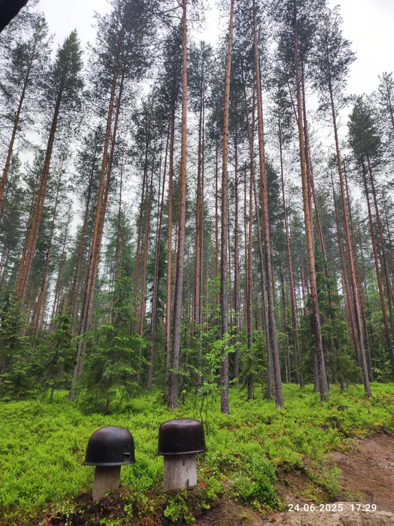 Карельский хутор A-frame