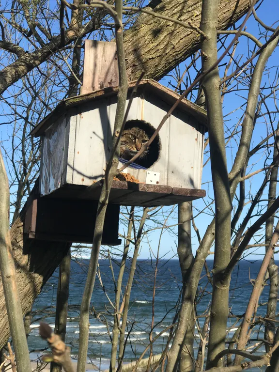 Квартира в 7 минутах ходьбы от лучшей части пляжа