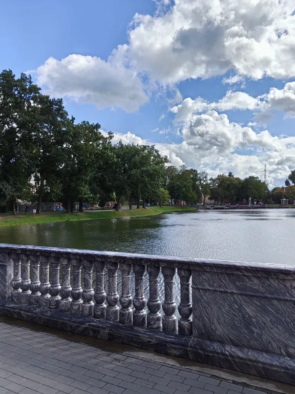 Квартира Уютная квартира с видом на парк, дистанционный заезд — Калининград