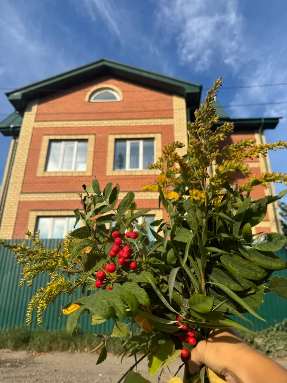 Коттедж Приглашаем вас в гостевой дом Bestfriends  в черте города — аренда посуточно в Вологда