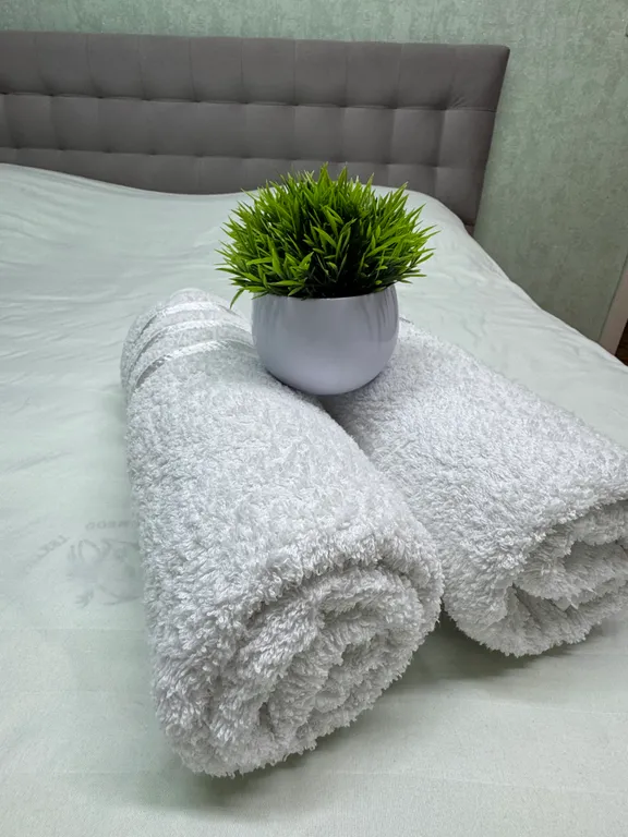 Квартира рядом с Коллажем, памятником Победы