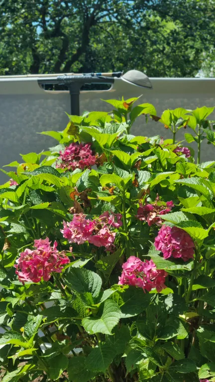 Квартира Квартира Евро-двушка в Адлерском районе — Адлер