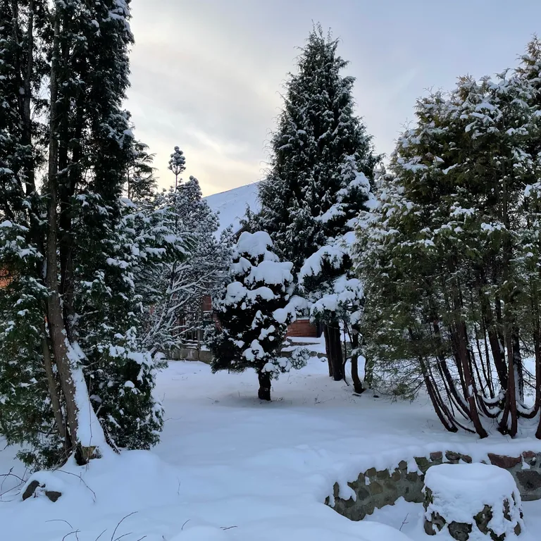 Коттедж Дом на Финском Заливе — Лебяжье