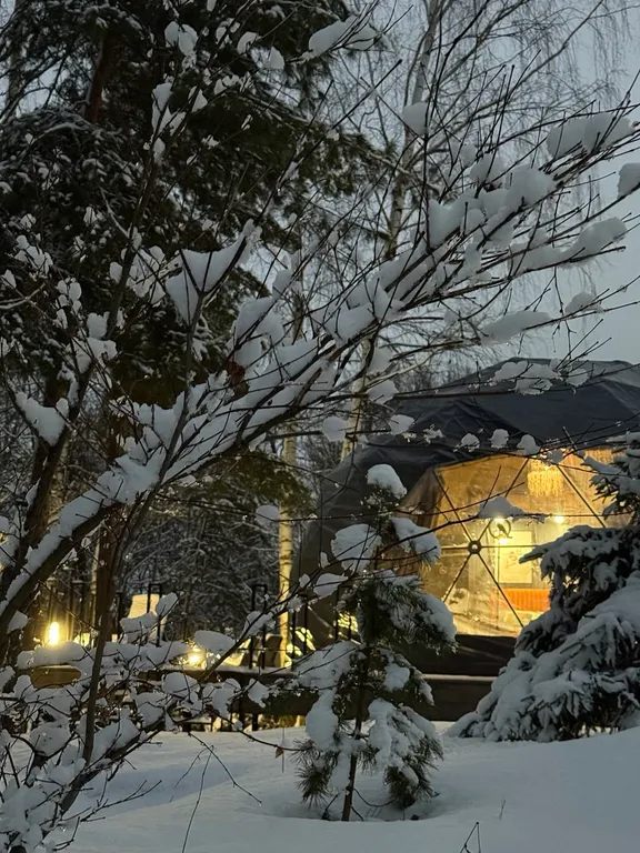 Новая сфера для глэмпинга Бёрд&Self vibe с дизайнерским интерьером