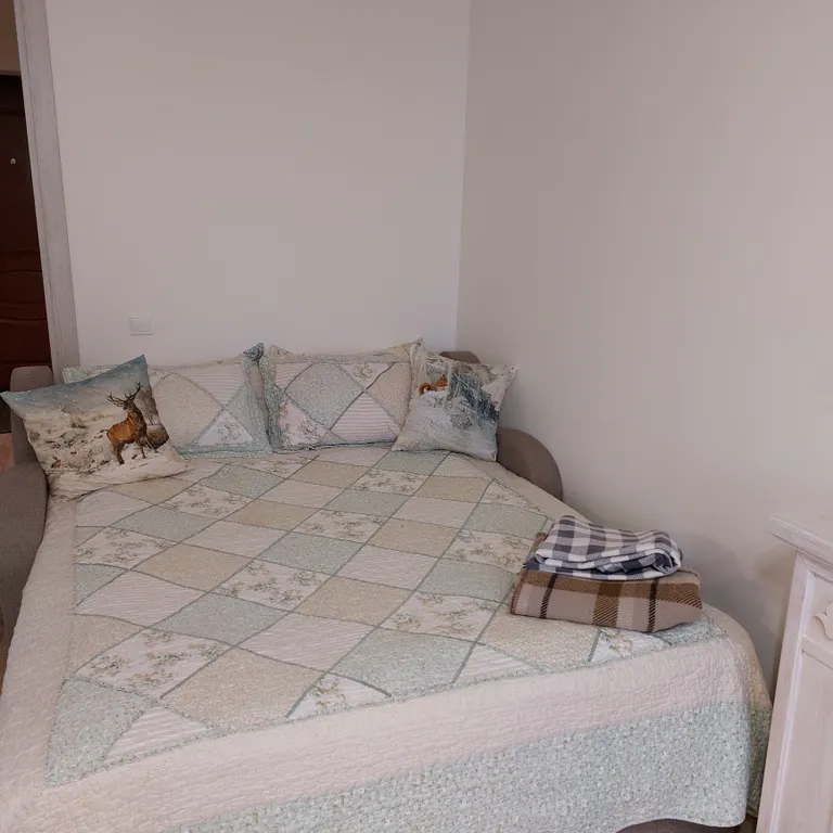 Прелестная студия с уникальным видом на Онежское озеро