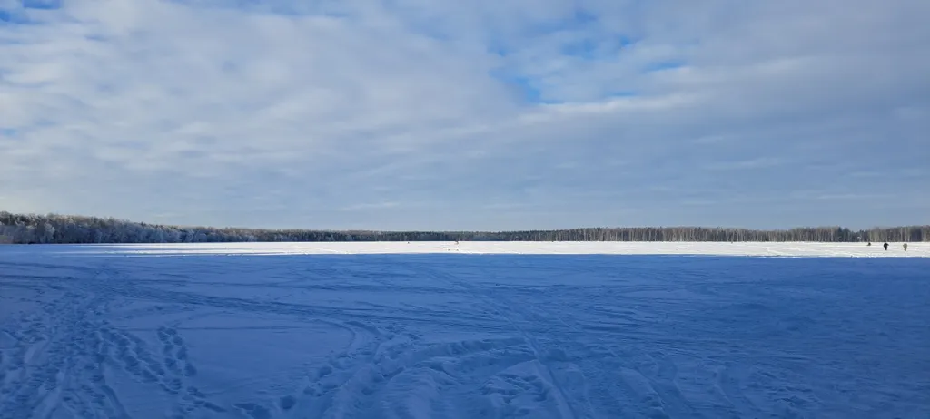 Дом в дубах