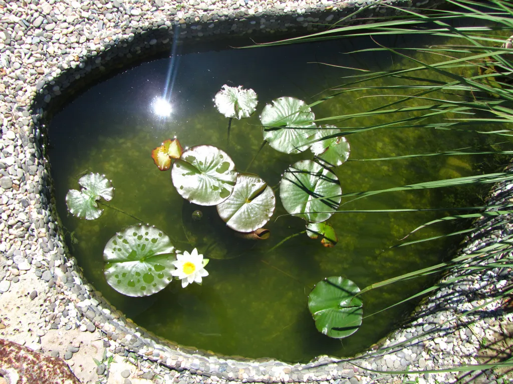 Дом со всеми удобствами Пальмы