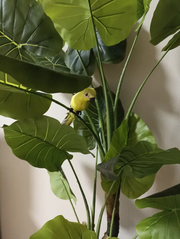 Квартира Студия Африка — аренда посуточно в Щёлково