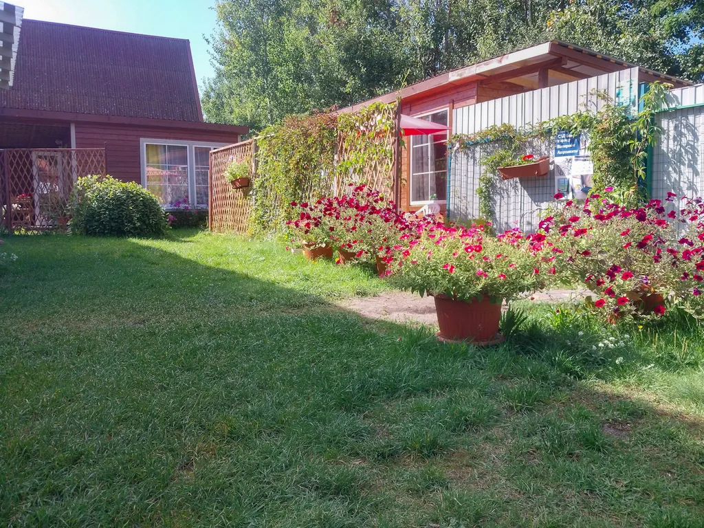 Коттедж Домик на Куршской косе — Куршская коса