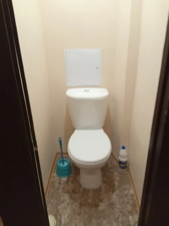 квартира в центре рядом с парком, источниками