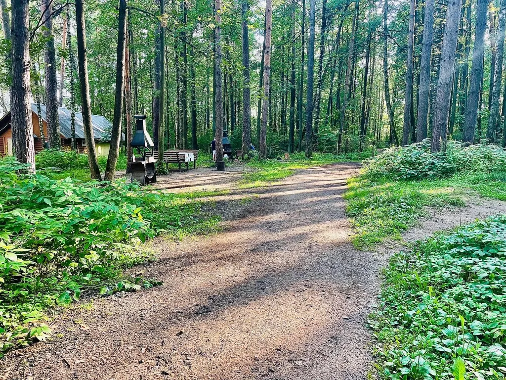 Комфортная студия в сосновом бору