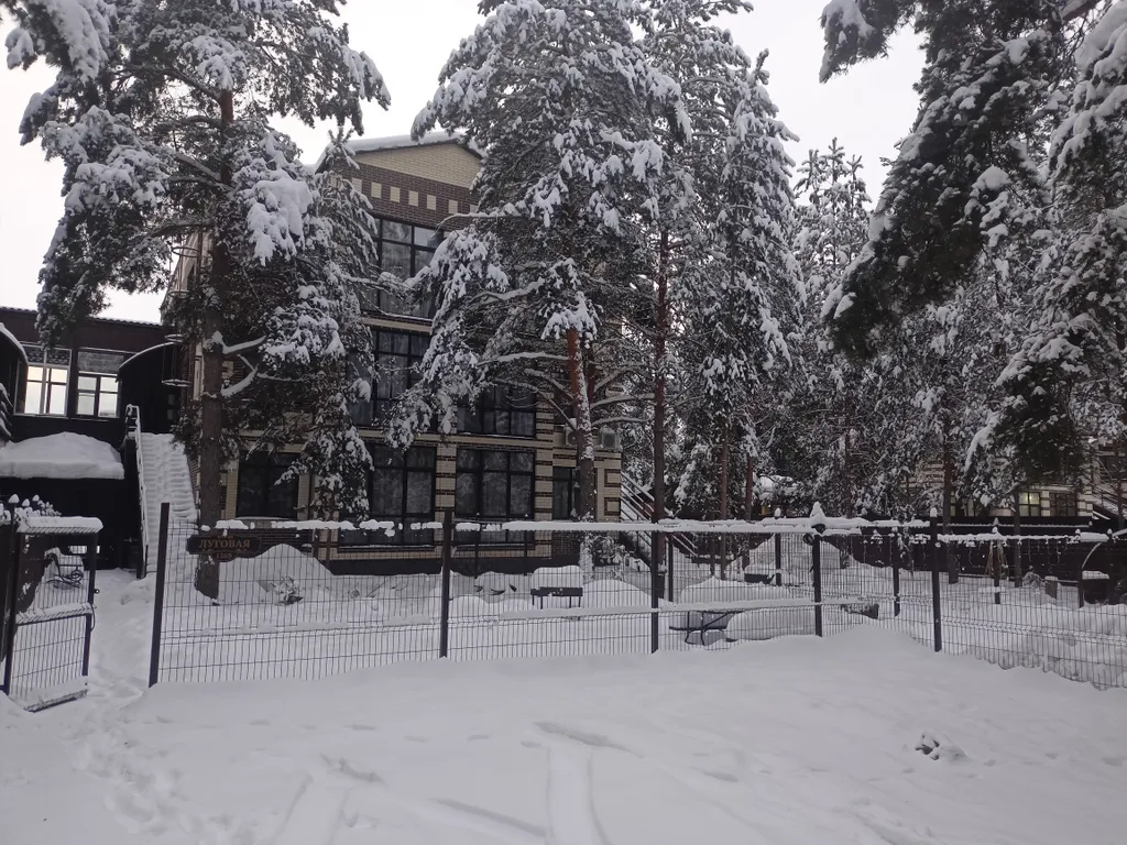 Апартамент с видом на лес