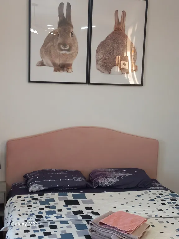 Уютная студия с видом на реку Иртыш