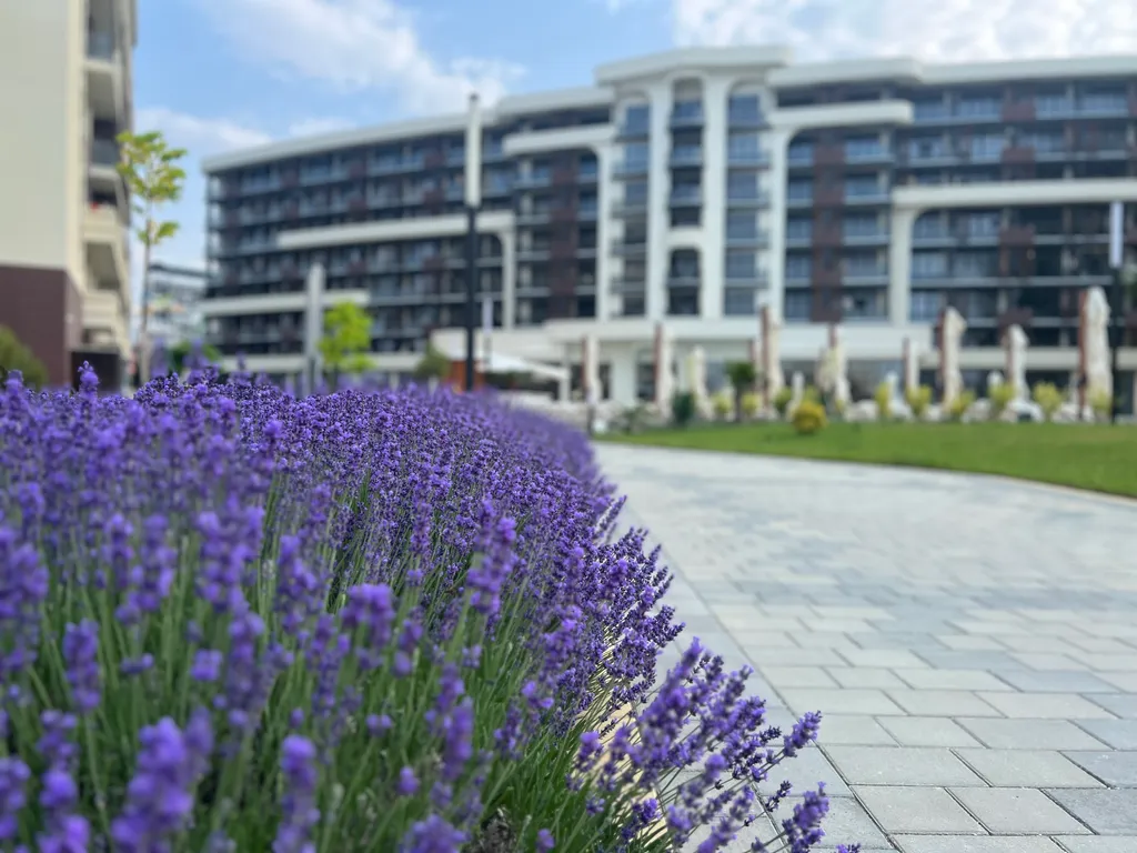 Дизайнерские апартаменты в Atlas Apart-hotel spa