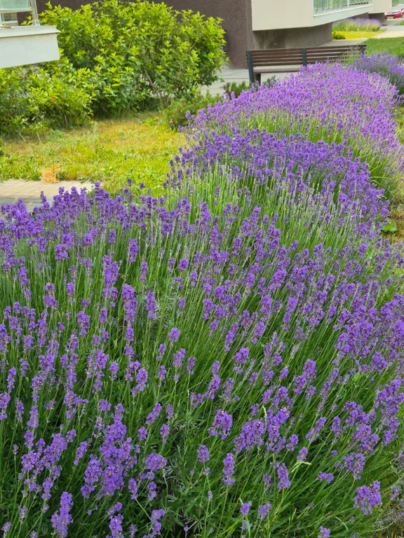 Новая видовая квартира на первой линии  ЖК Анаполис