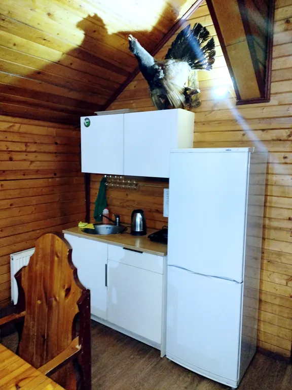 Коттедж с русской баней и бассейном