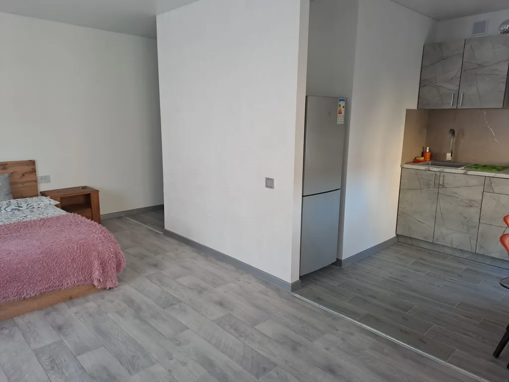 Студия центральный район, бесконтактное заселение