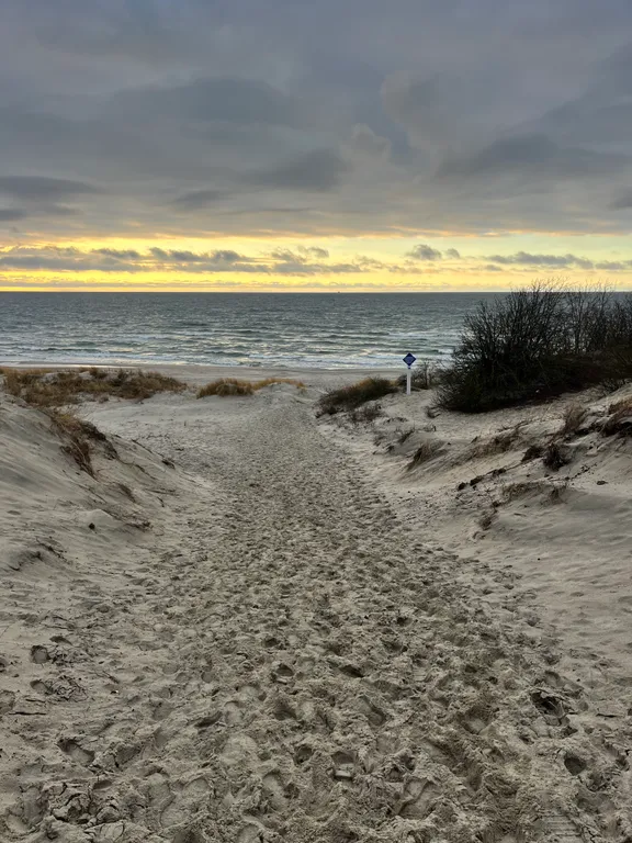 Уютный домик в сосновом бору на берегу моря