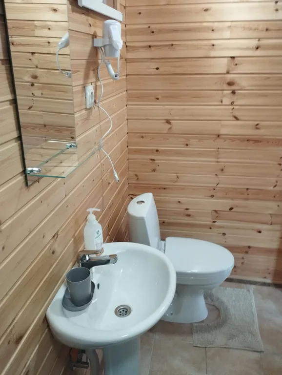 Дом с мансардой