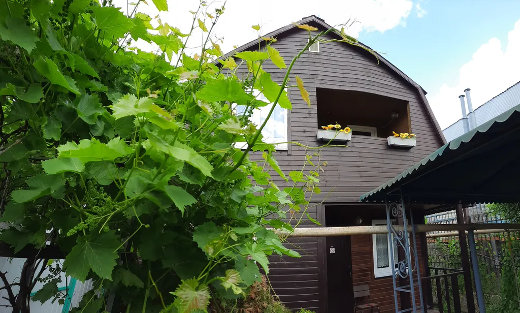 Коттедж 2-комнатный Дом — Кучугуры