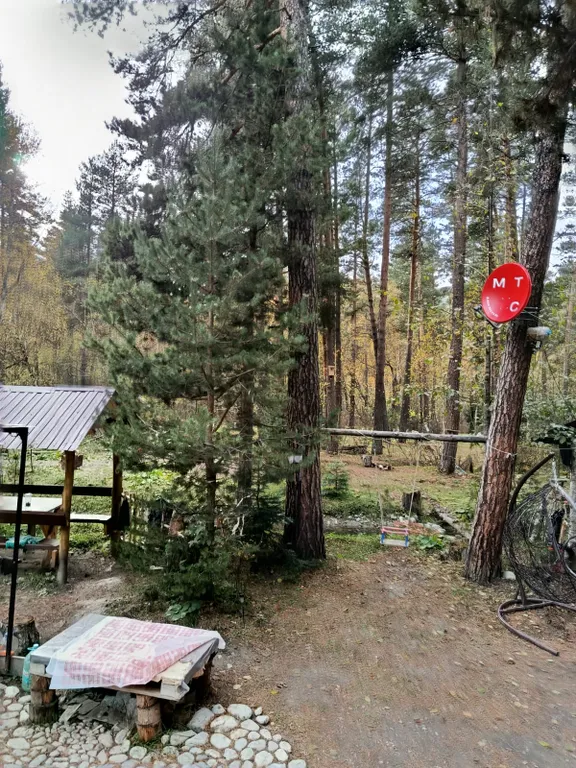 Коттедж Коттедж Лес хрустальной песни — Архыз