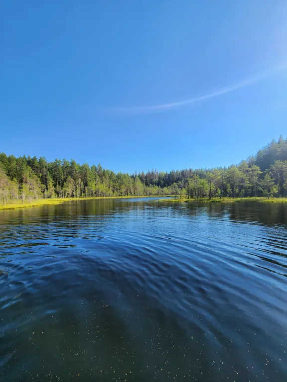 Загородный дом в тихом красивом месте